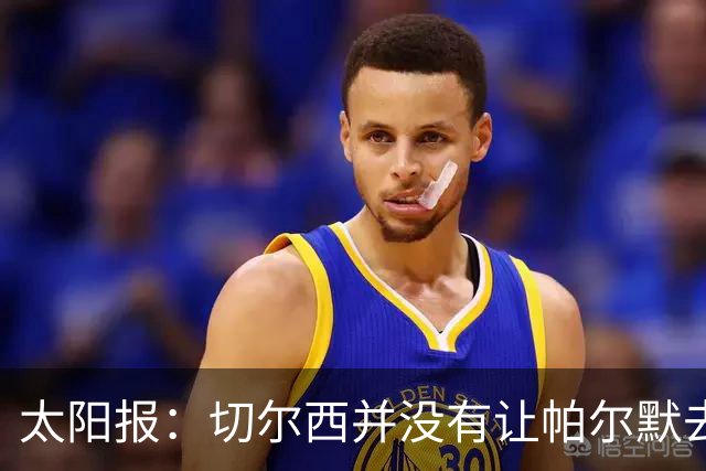 太阳报：切尔西并没有让帕尔默去游说罗杰斯，但两人感情很好