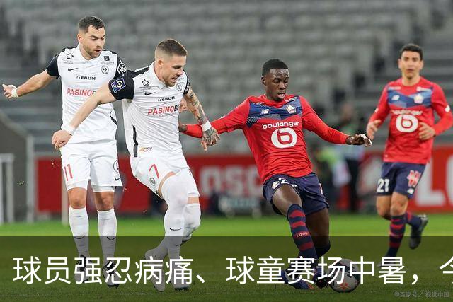 球员强忍病痛、球童赛场中暑，今夏职业网坛屡现揪心突发事故